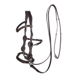 Calli Love Hackamore Bitless Bridle & Reins